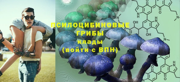 мескалин Гвардейск