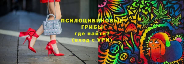 прущий лед Алексин