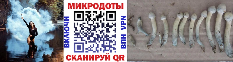 Галлюциногенные грибы GOLDEN TEACHER  Донской 