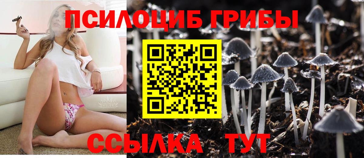 Псилоцибиновые грибы прущие грибы Донской