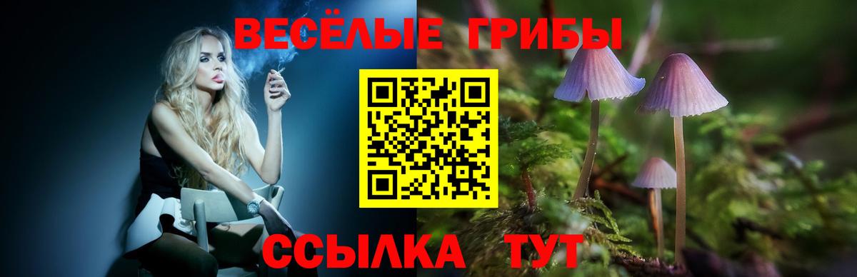 Псилоцибиновые грибы ЛСД  Вход с VPN  Псилоцибиновые грибы Psilocybe  Донской 